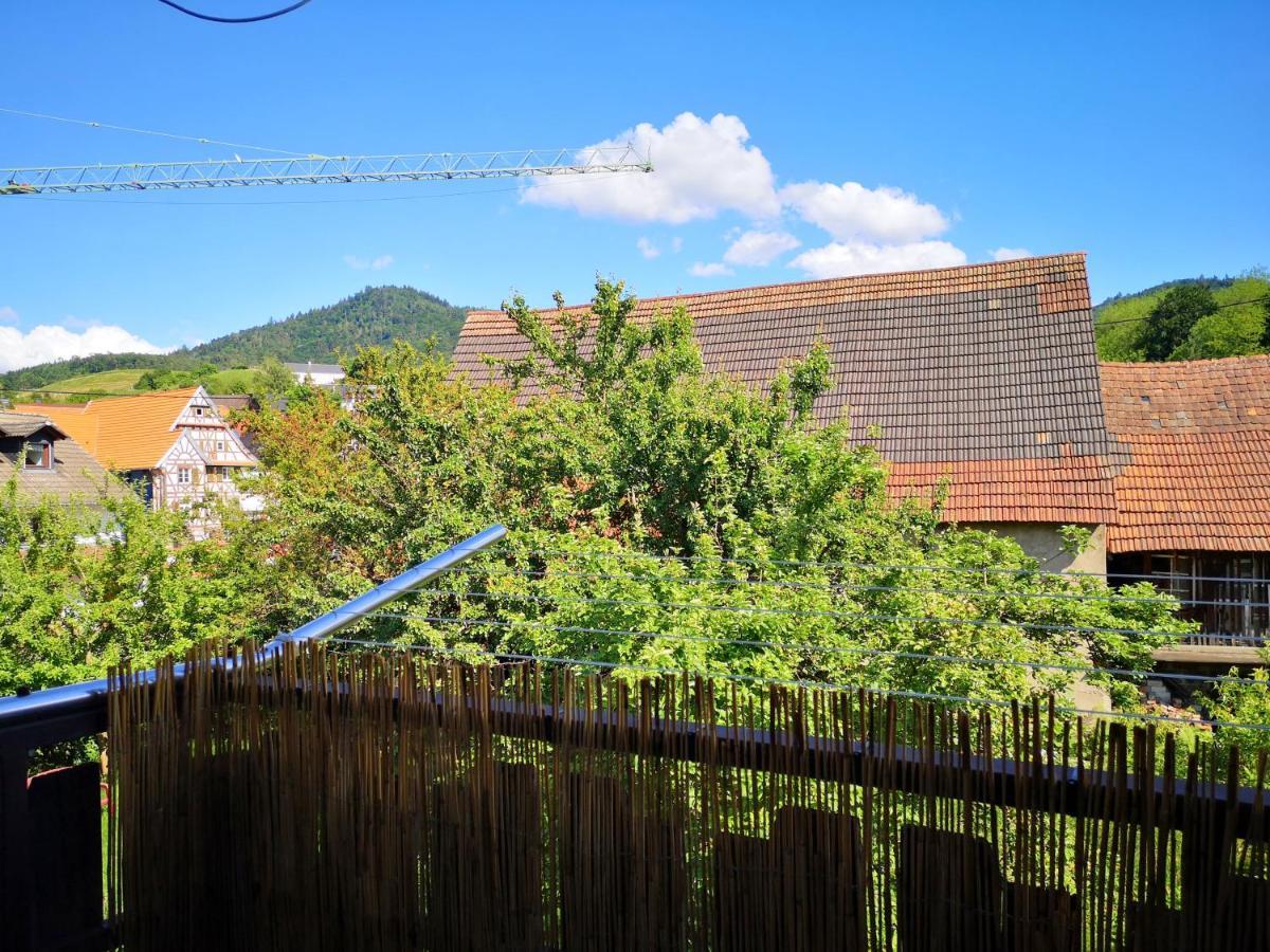 Family-Apartment Mit Balkon, Kueche, Parkplatz & Waschmaschine オフェンブルク エクステリア 写真